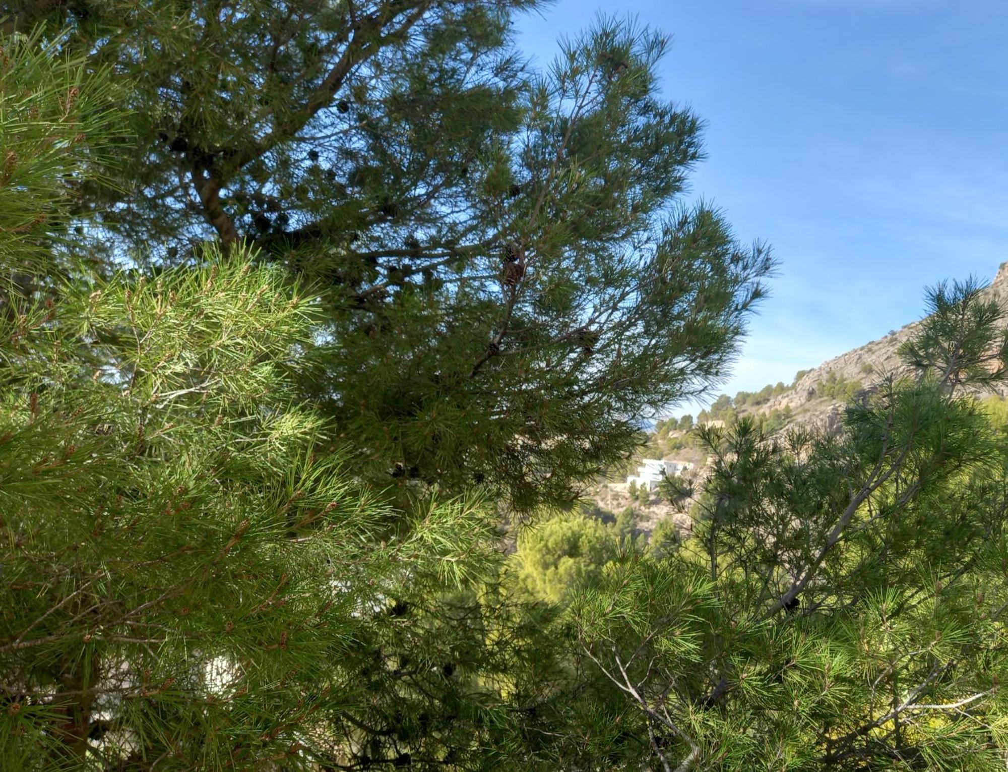 הוילה Townhouse Altea Hills מראה חיצוני תמונה